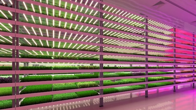 A multilevel vertical farm inside a repurposed warehouse, showing rows of hydroponically grown lettuce and kale under LED lights.