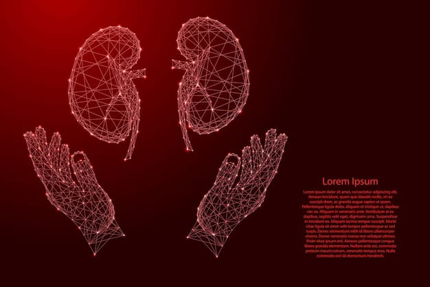 Bioprinting Human Organs: When Will We See US Transplants?