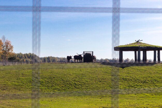 A split-screen image showing a traditional farm on one side and an automated farm on the other. The traditional farm should be using manual labor and less efficient methods, while the automated farm uses robots and precision technologies, highlighting the difference in crop yields and efficiency.